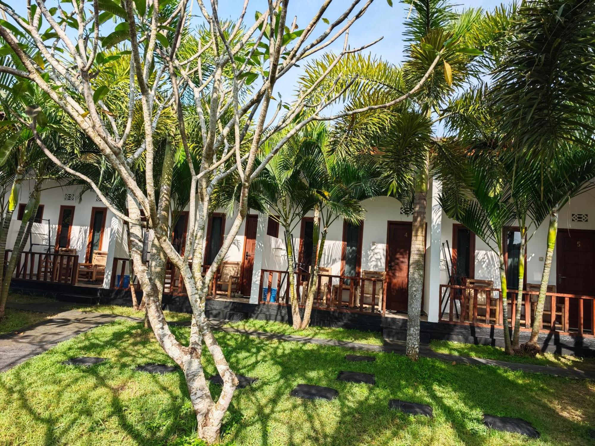 Surf Camp 79 Hotel Kuta  Exterior foto